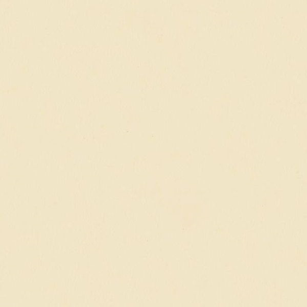 DP-8503 Parchment