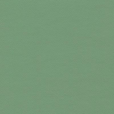 IND-8550 Celedon Green