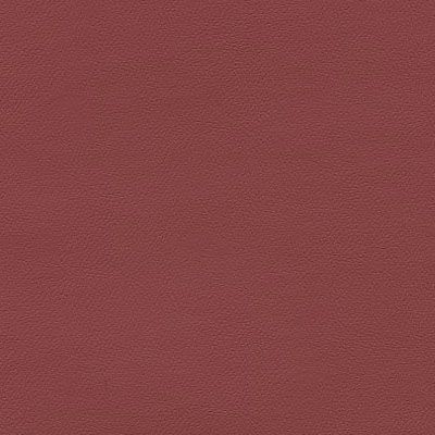 IND-8565 Tea Rose