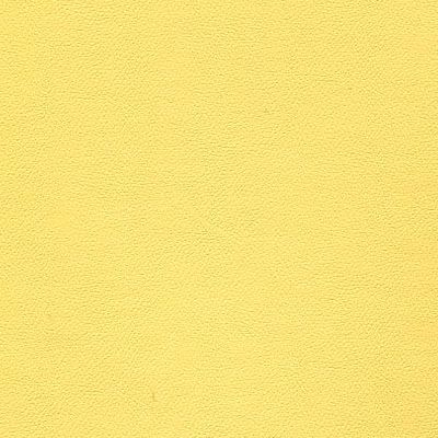 IND-8611 Cornsilk