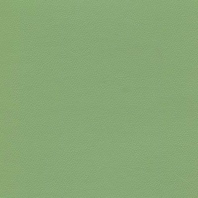 IND-8621 Leaf Green