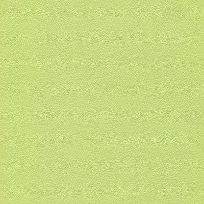 IND-8623 Light Lime
