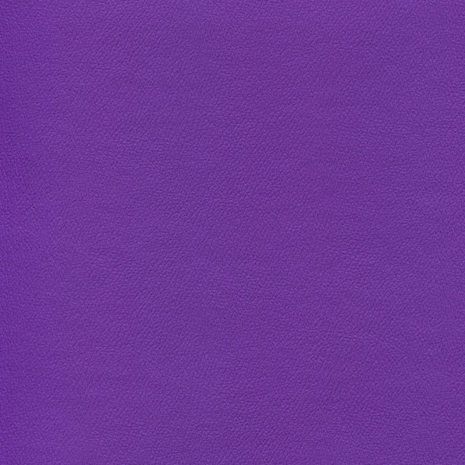 IND-8762 Court Purple