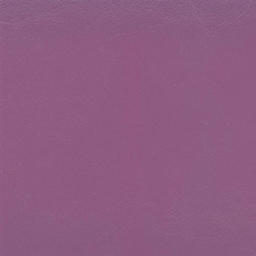 IS-9175 Grape