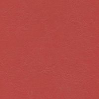 Jetstream Radiant Rose