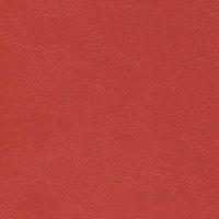 JET-021 Ruby Red
