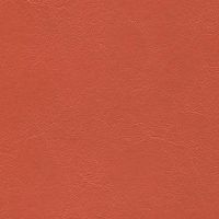JET-024 Sun Coral