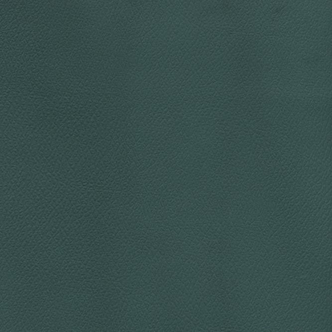 DP-8581 Dark Aqua