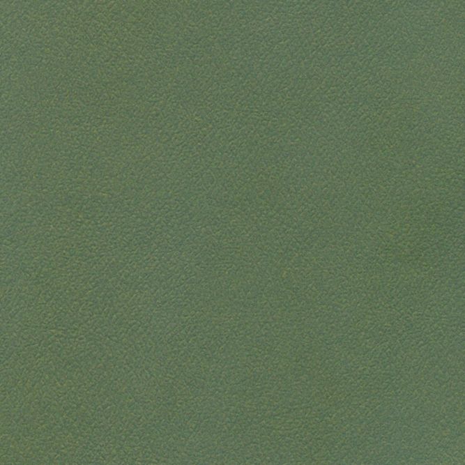DP-8625 Cypress