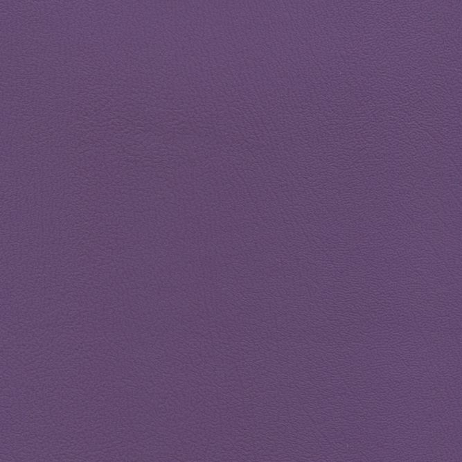 PRZ-019 Purple Iris