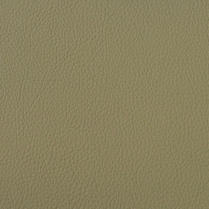 SCL-013 Celery