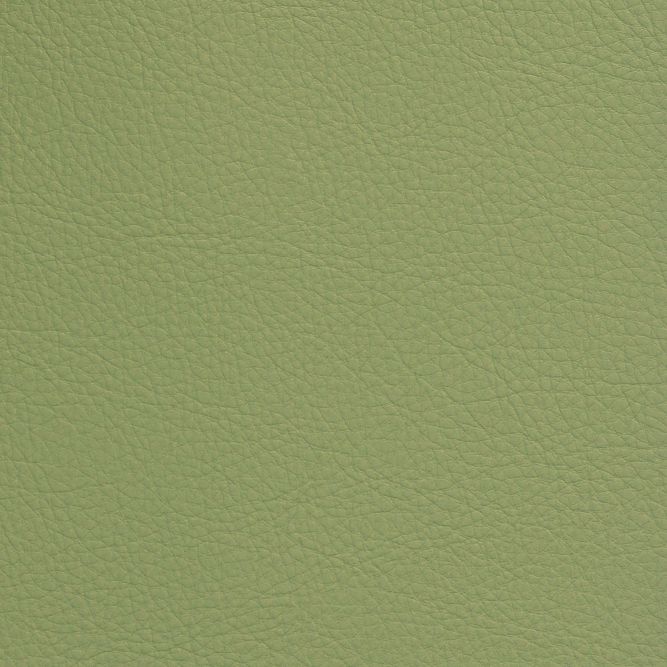 SCL-113 Scallion