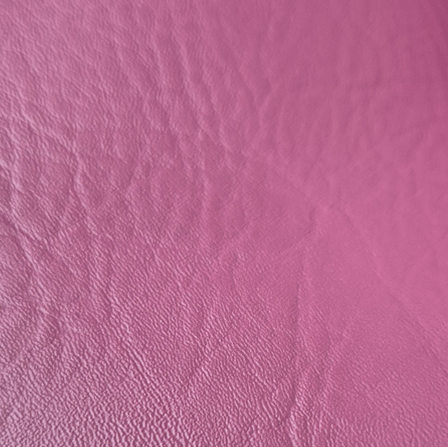TRA-6616 Exotic Plum