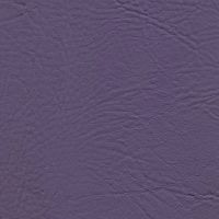 TRA-6646 Regal Violet