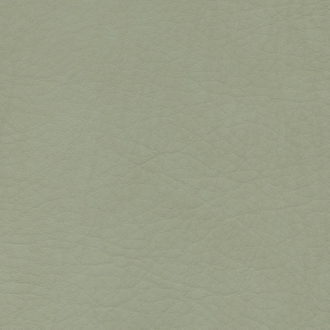 WHI-2131 Green Tea