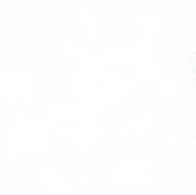 ZAN-3102 Pure White