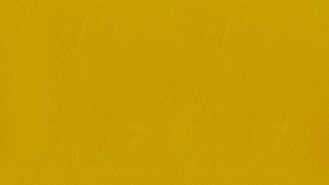 ZAN-3114 Yellow